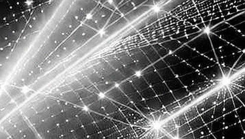 The $5.95M Fee Anomaly: When a Single Token Outearns Its Entire Chain