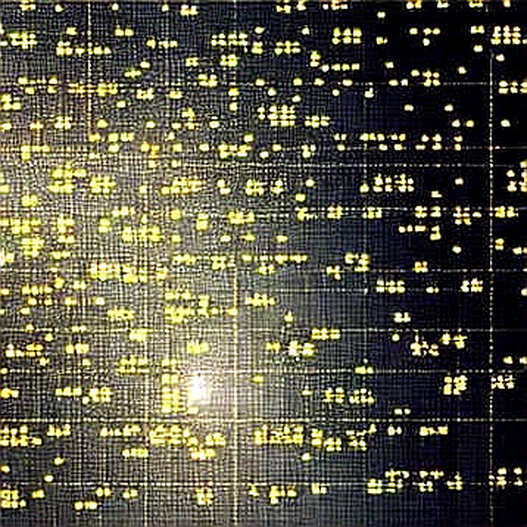 Leverage is the Tail That Wags the Korean Market – And Crypto Should Listen Leverage is the Tail That Wags the Korean Market – And Crypto Should Listen