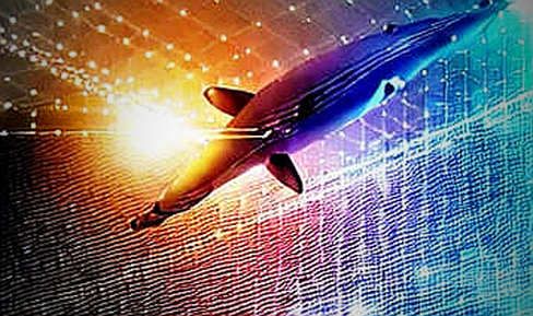 The Blockade That Exposed Crypto's Achilles' Heel The Blockade That Exposed Crypto's Achilles' Heel