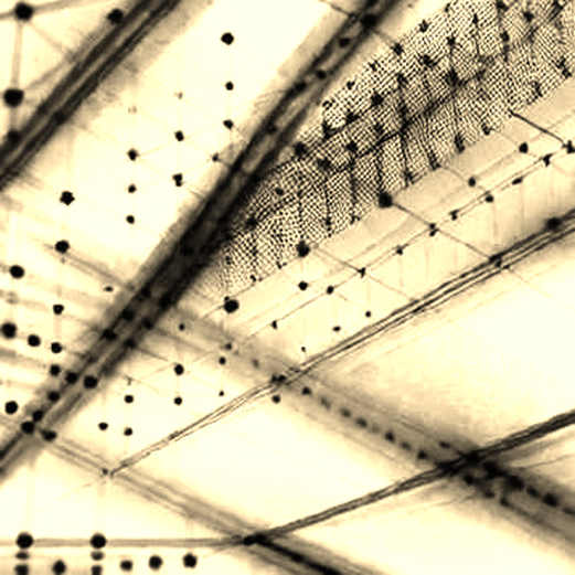 Bank of Korea’s Warning: The Central Bank That Audited Leverage Like a Smart Contract