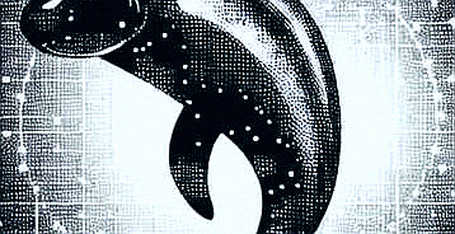 The Franchise Protocol: EtherFi’s White-Label Aave V4 and the Cost of DeFi’s Modular Future The Franchise Protocol: EtherFi’s White-Label Aave V4 and the Cost of DeFi’s Modular Future