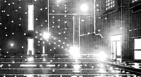 The De-Risking Signal: High Beta Carnage and What It Means for Crypto Liquidity The De-Risking Signal: High Beta Carnage and What It Means for Crypto Liquidity