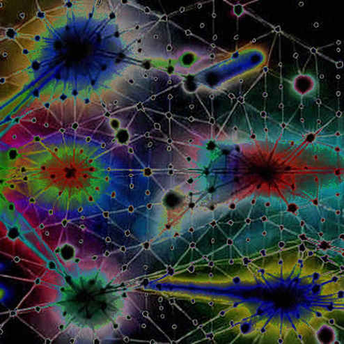 The Empty Matrix: When 'N/A' Becomes the Most Honest Signal in Crypto Risk Assessment