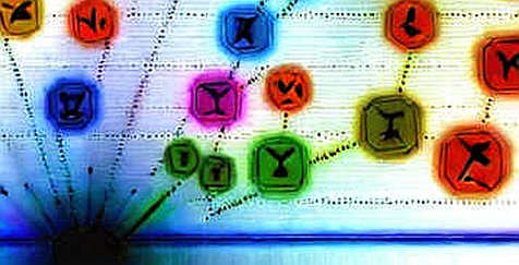 The FATF's New Warnings: When Crime Networks Write Their Own Ledger