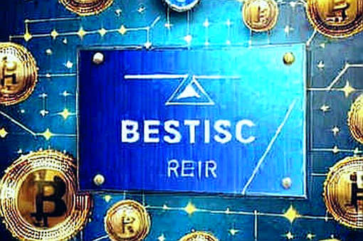 The Debt Signal: Reading Bitcoin's 23% Surge Through the On-Chain Ledger