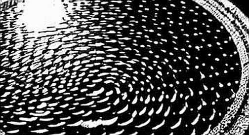 Anthropic’s $11.5B Quarter: The AI Revenue Flood That Will Reshape Crypto’s Compute Narrative