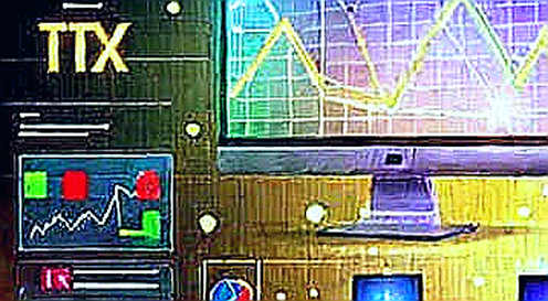 The Vacuum Hypothesis: When Empty White Papers Signal the Truest Market Signal