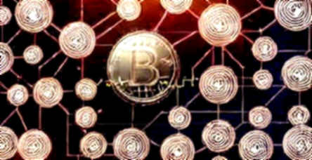 The $8M Question: When Anonymity Meets the Immutable Ledger