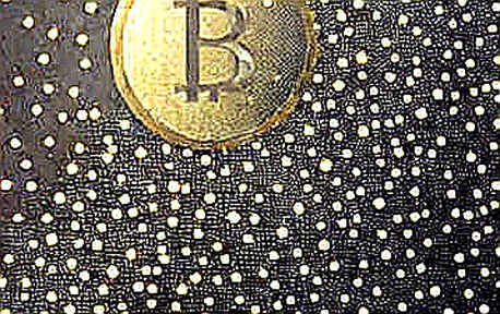The Asymmetry Is the Crime: Senators Push the SEC to Investigate the Trump Meme Coin