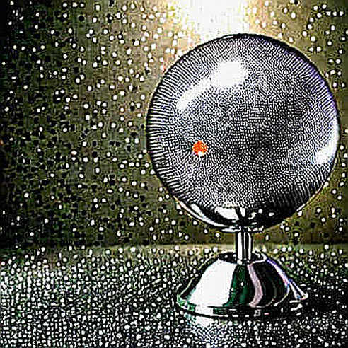 The Blank Report: When Missing Data Is the Only Signal That Matters