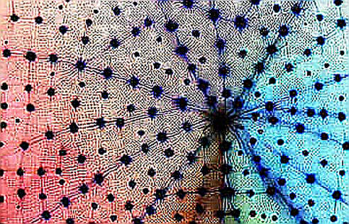 The Layer2 Hiring Paradox: Why 95% of Networks Deploy L2s but Only 20% See Real Users — and Why Junior Developers Are Already Being Frozen Out