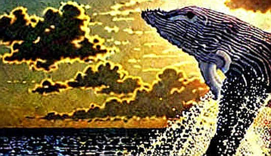Volvo's Phantom Cryptocurrency: When a 'Test' Says Absolutely Nothing Volvo's Phantom Cryptocurrency: When a 'Test' Says Absolutely Nothing